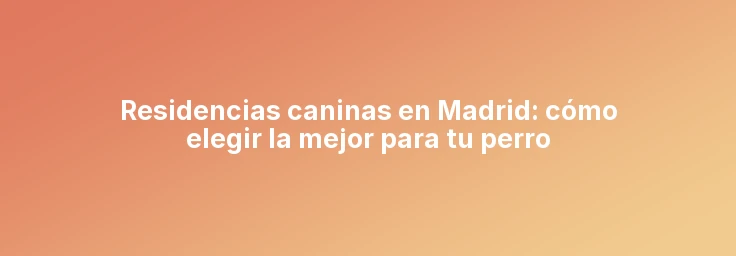 Residencias caninas en Madrid: cómo elegir la mejor para tu perro